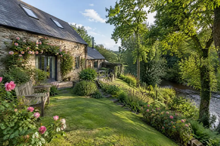 The garden