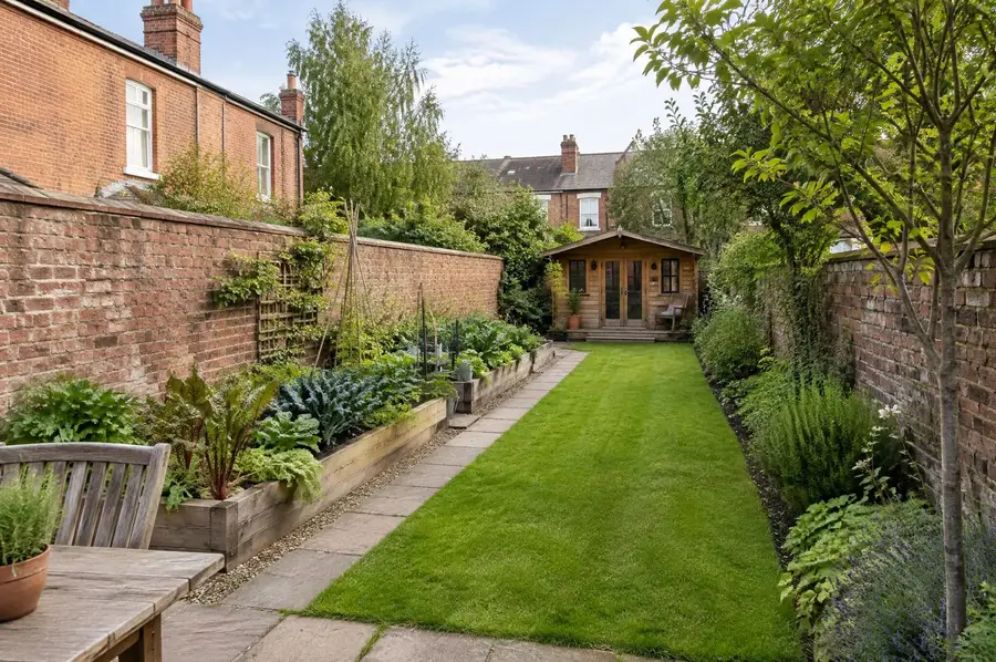 The garden