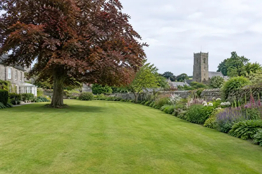 The garden