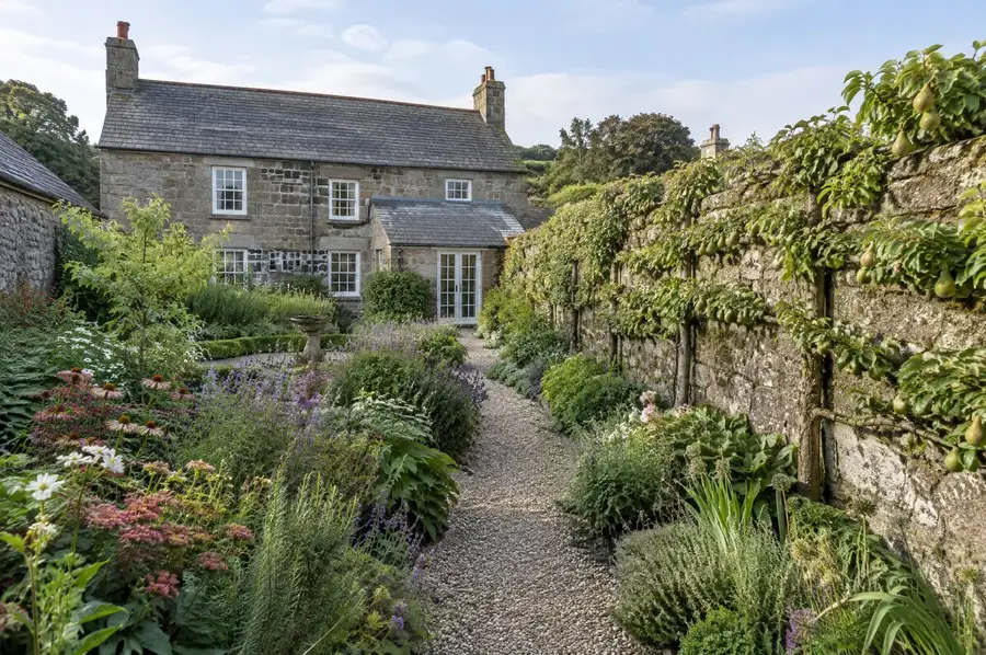 The garden