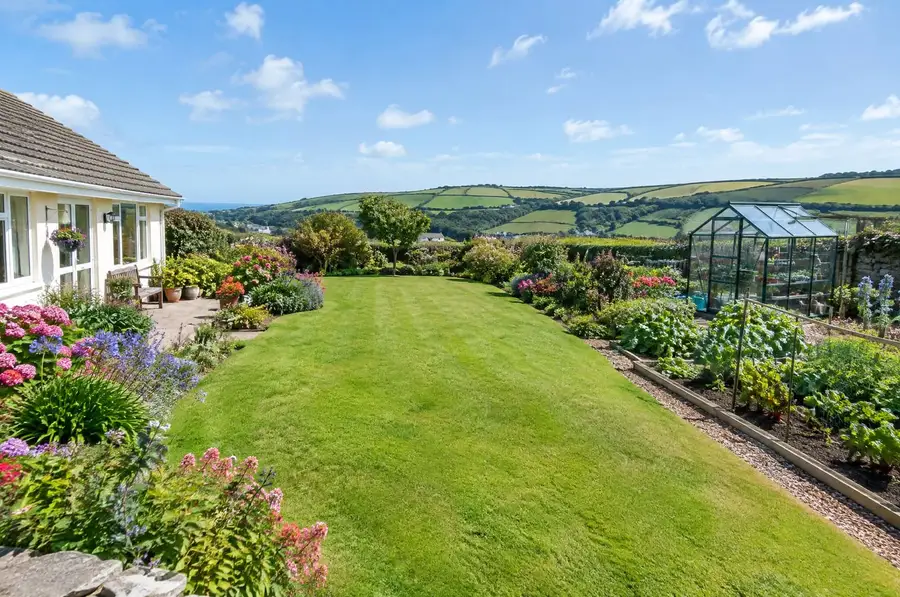 The garden